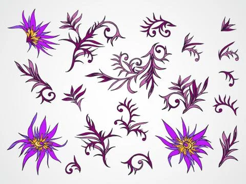 Vector set of hand drawn flowers, branches and leaves. Stock Illustration