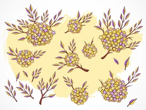 Vector set of hand drawn flowers, branches and leaves with textured watercolo Stock Illustration