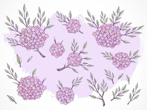Vector set of hand drawn flowers, branches and leaves with textured watercolo Stock Illustration