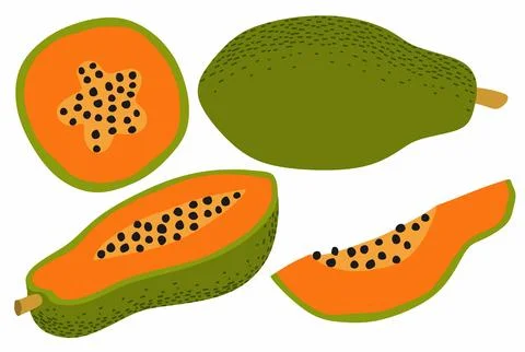Vector set of hand drawn fresh papaya vector illustration Illustrazione stock