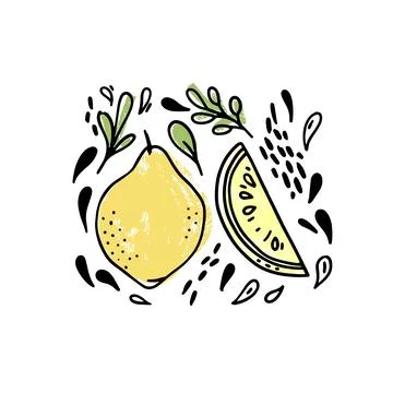 Vector set of hand drawn fruits with leaves and drops on a white background.  Stock Illustration