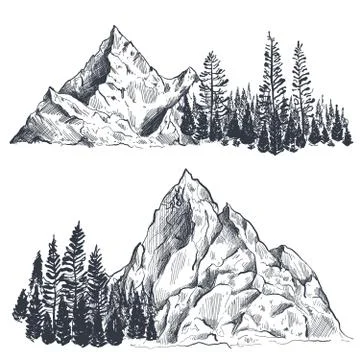 Vector set of hand drawn graphic mountain ranges with pine forest Stock Illustration