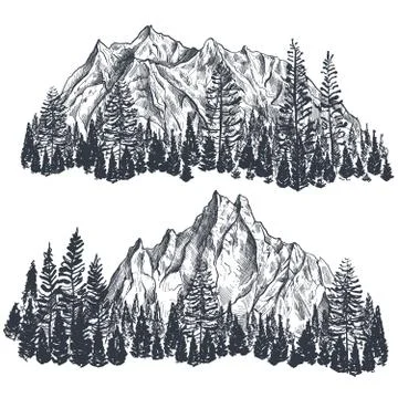 Vector set of hand drawn graphic mountain ranges with pine forest. Stock Illustration
