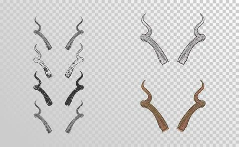 Vector set of hand drawn horns antelope with grunge elements in different ver Stock Illustration