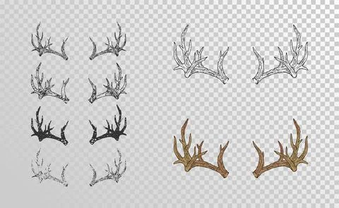 Vector set of hand drawn horns deer with grunge elements in different version Stock Illustration