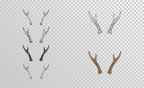 Vector set of hand drawn horns roe deer with grunge elements in different ver Stock Illustration
