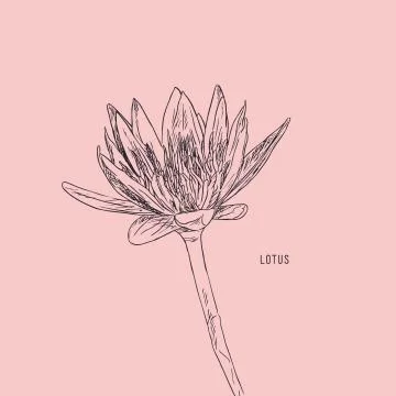 Vector set of hand drawn lotus flowers. Stock Illustration