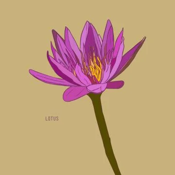 Vector set of hand drawn lotus flowers. Stock Illustration
