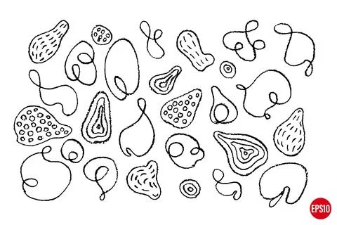 Vector set of hand drawn organic abstract shapes. Linear one-color elements. Illustrazione stock