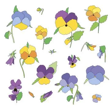Vector set of hand drawn spring bright colorful pansies flowers with leaves and Stock Illustration
