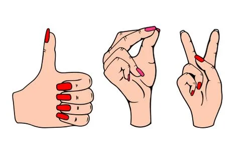 Vector set of hands 스톡 일러스트