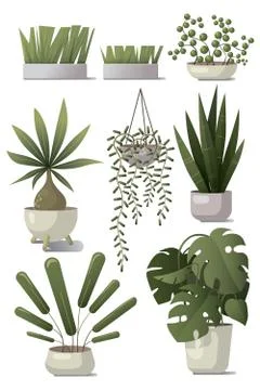 Vector set of home plants. Illustrazione stock