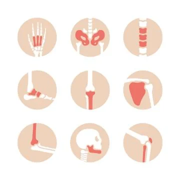 Vector set of human joints with red damaged parts. Disease in bone, knee, leg Stock Illustration