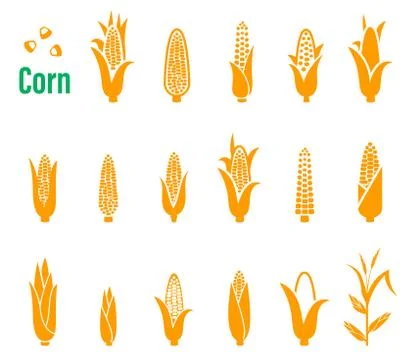 Vector set of icons and logos with corn on a white background Stock Illustration