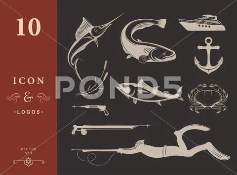 Spearfishing diving equipment set Royalty Free Vector Image