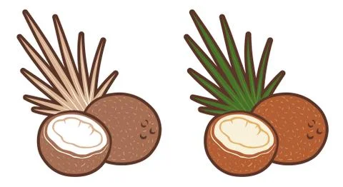 Vector set icons of coconut with palm leaf. Vector retro emblems coconuts. Stock Illustration