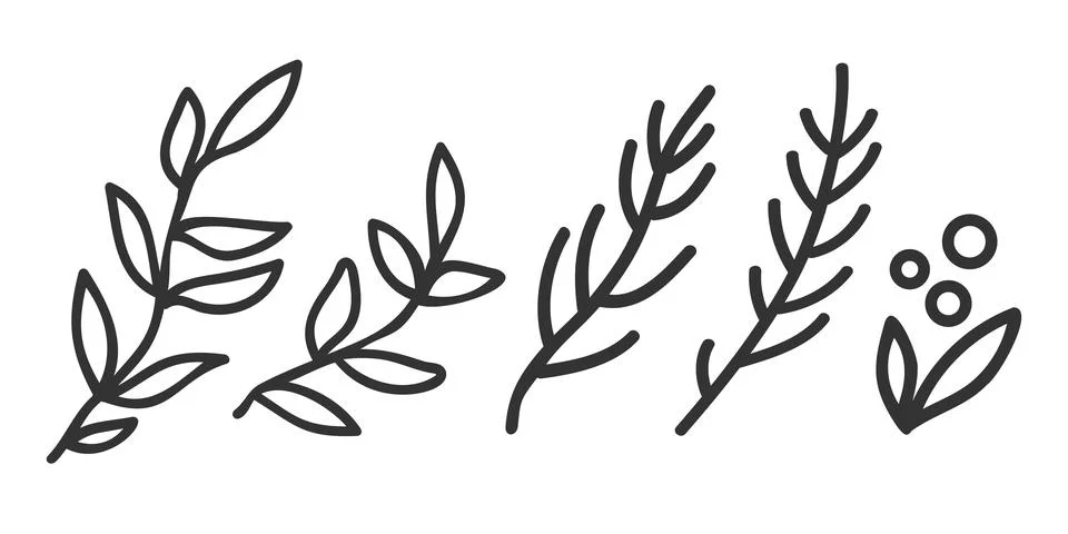 Vector set icons of plants in flat style. Hand drawing sinple plants in lin.. Stock Illustration