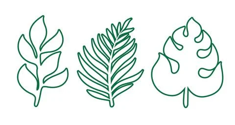 Vector set icons of tropical leaves. Vector clip art of tropical leaf in li.. イラスト素材