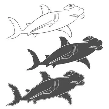 Vector set of illustrations depicting the hammer shark. Isolated objects. Stock Illustration