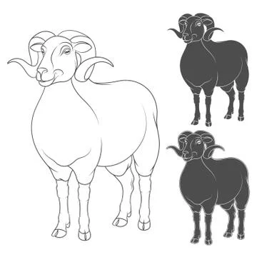 Vector set of illustrations depicting sheep. Stock Illustration