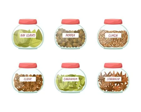 Vector set of illustrations of glass jars with spices. Cumin, cardamom, star  Illustrazione stock