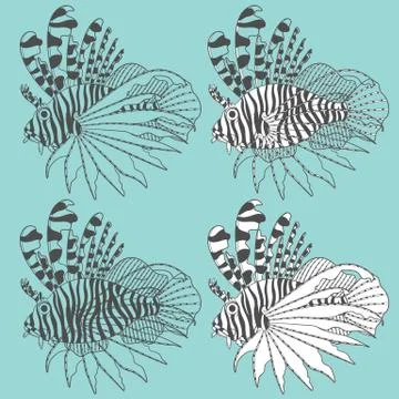 Vector set of illustrations with lionfish. Stock Illustration