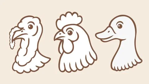 Vector set illustrations of turkey, chicken and duck heads in retro style. .. 스톡 일러스트