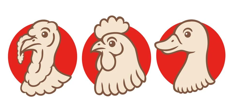 Vector set illustrations of turkey, chicken and duck heads in retro style. .. 스톡 일러스트