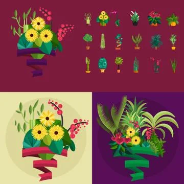 Vector Set of indoor tree home plants in pots. Illustration Stock Illustration