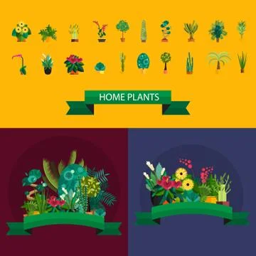 Vector Set of indoor tree home plants in pots. Illustration Stock Illustration