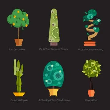 Vector Set of indoor tree home plants in pots. Illustration Stock Illustration
