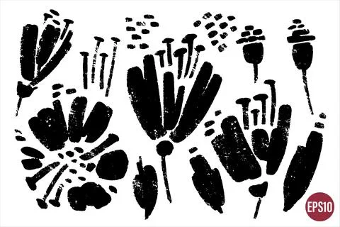 Vector set of ink drawing wild poppy flowers, seeds and seed capsules. Mono.. Stock Illustration