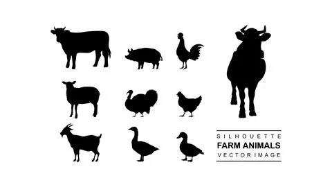 Vector set of isolated animal farm silhouette Stock Illustration