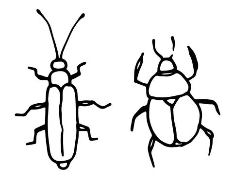 Vector set of isolated beetle elements drawn by hand in the doodle style.funny Stock Illustration