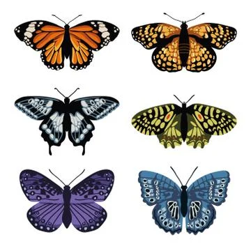 Vector set with isolated butterflies. Hand drawn design Stock Illustration