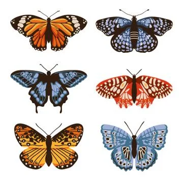 Vector set with isolated butterflies. Handdrawn design Stock Illustration