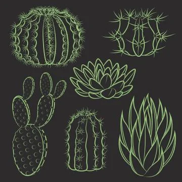 Vector set of isolated cactus. Stock Illustration