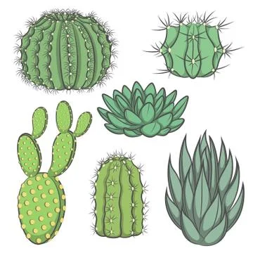 Vector set of isolated colored cactus. Stock Illustration