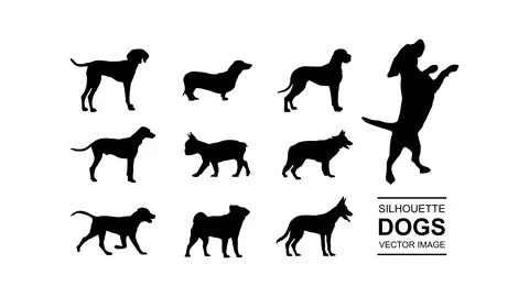 Vector set of isolated dog silhouette Stock Illustration
