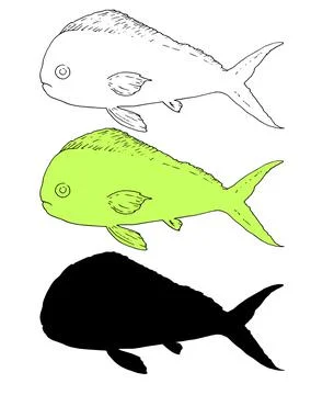 Vector set of Isolated elements of Coryphaena sea fish. Hand-drawn ocean fish Stock Illustration