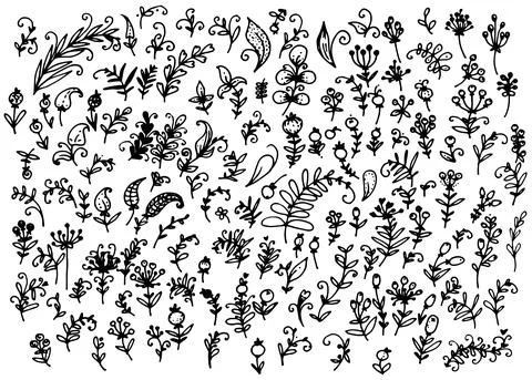 Vector set of isolated elements made of branches with leaves and berries and Stock Illustration