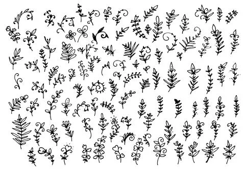Vector set of isolated elements of twigs with leaves drawn by hand in the doodle Stock Illustration