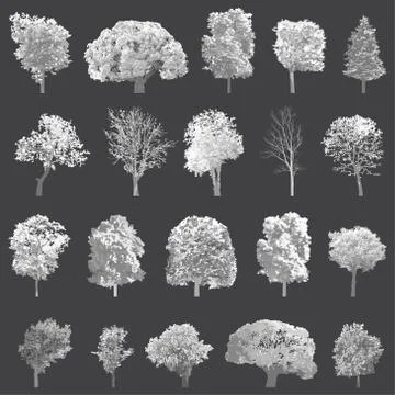 Vector set isolated high detailed trees Stock Illustration
