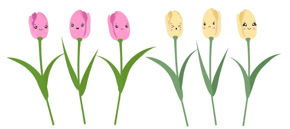 Vector set of isolated pink and yellow tulips. Tulips in the style of kawaii. Stock Illustration