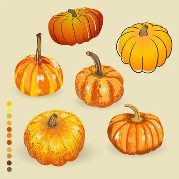 Vector set isolated pumpkin. illustration of pumpkin for an autumn design. Stock Illustration