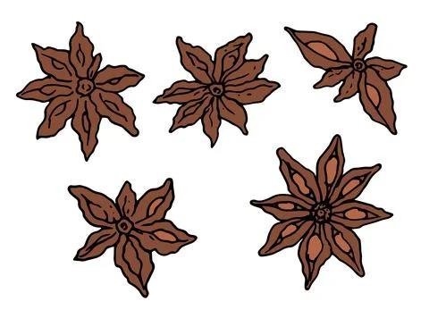 Vector set isolated spice element star anise black outline of brown color on Stock Illustration