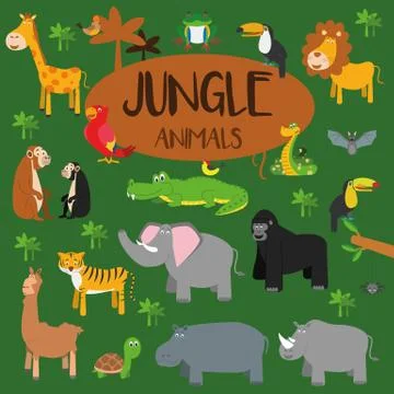 Vector set Jungle animals. Frog, turtle, toucan, parrot, bat, spider, tiger, gir Stockillustratie