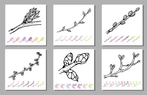 Vector Set of Kidney bud black pattern in the plant design. Hand painted spring Stock Illustration
