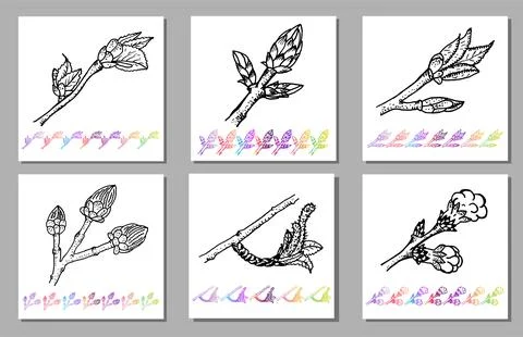 Vector Set of Kidney bud black pattern in the plant design. Hand painted spring Stock Illustration