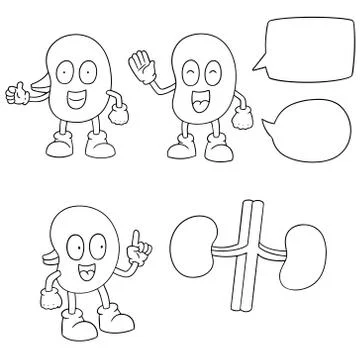 Vector set of kidney cartoon Stock Illustration